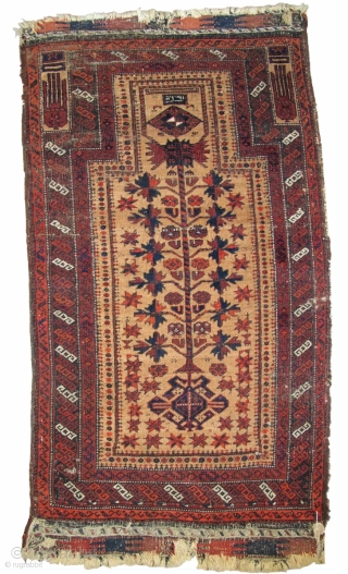 Crisply drawn Camel Ground Baluch Prayer Rug with elongated stylized hands, depressed warp Khorosan type. Dated Baluch prayer rug, a piece from Basha's Baluch Collection. 2'7"x4'7"
       