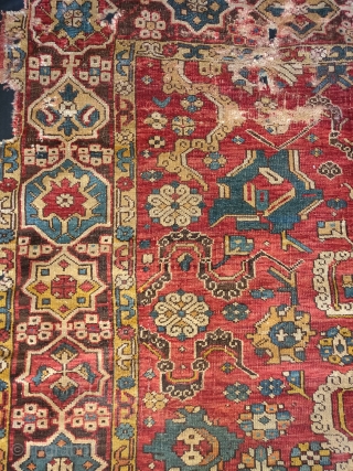 so-called 'Golden Triangle' group carpet. Woven arguably in either Northwest Persia or Eastern Anatolia at a time when the border between these two areas was more fluid, circa 1700? 
size=192x264cm
Sourced in Tibet  ...