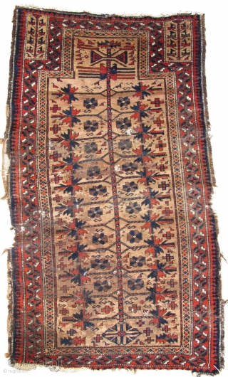Baluch Camel Ground Prayer Rug, fantastically soft wool (just ask the moths!) saturated madder red. Great tactile quality. Good drawing with interesting asymmetries. This is a former Basha piece.
    