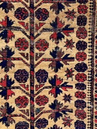 fine Baluch camel-ground prayer rug, 34" x 5'5", asymmetrical, open left 120-130 knots per square inch                 