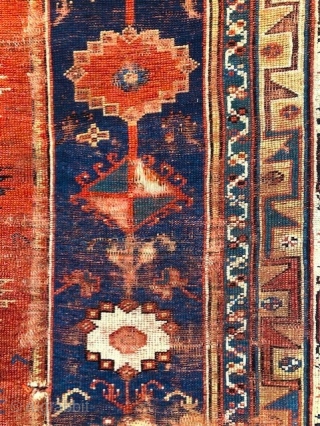 Makri rug with double cartouche field.                           