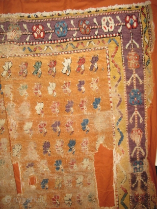 Vivid Saturated Color. Two matching fragments of an Anatolian Yatak, mounted together and conserved. multicolored carnations on a golden-saffron abrashed ground, perfect aubergine among the rainbow of colors.     