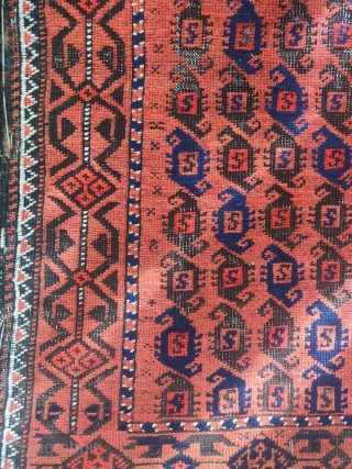 Small cinnamon ground Baluch rug with a 'scorpion' boteh field.                       