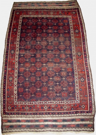 Elegant Antique Baluch Main Carpet with snow-flake blossoms in lattice design and minakhani border. Deep saturated natural colors with corrosive brown and masterful use of white. Boucher attributed rugs of this type  ...