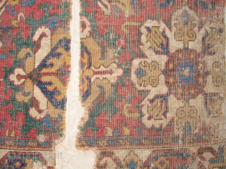 Caucasian Blossom Carpet Fragment, excellent drawing and colors, 17th/ early 18th century. This is the top left-hand corner of the carpet. It is photographed here upside-down. Mounted and conserved. 41"x61" / 104x163cm  ...