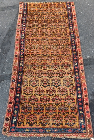 Northwest Persian Kurdish runner fragment with flowering shrubs on a gold ground, very nice color. 2'8"x6'8".                 