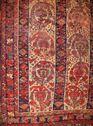 South Persian Afshar? Boteh Rug with a shawl design. worn but beautiful. Great saturated all natural color including madder red as well as what looks like cochineal or lac? Pictures don't do  ...