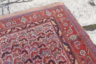 Lovely Antique Caucasian arrival in this weeks Online Auction:  https://www.ebay.com/itm/154345784212
Check out here this weeks Auction round which has over 40 Antique Rugs...

All Auctions Link: https://www.ebay.com/str/collectorscollectionswitzerland

       