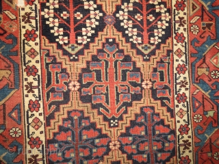 Fragment of a Kurdish rug, a rare piece, good for any collection, 19th century                   