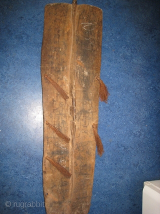 Wooden shield from Irian Jaya, West Papua.  16 inches wide by 61 inches tall.  Relief design highlighted with white and dark brown.  Tassles on side.     