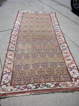 Kurdish long rug 4'-1"x10'-0" great wool and natural dyes. Low areas, areas of repiling.                   