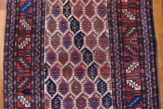 A LURI rug.  Caucasian-style border and a field of spiked botehs with interior plant motifs.  40” x 80” (102 cm x 203 cm).  Good pile, no low areas. Good  ...