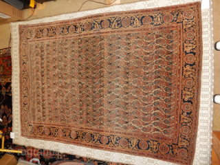 54 inches x 78 inches lovely kashan in excellent plus condition                      