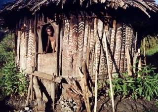 Papua New Guinea Cult house engraved wooden panel. Cm 145/56 in ca. Field collected mid 20th century by a Dutch collector in the Sepik river area mountains. Very hard wood, clay and  ...