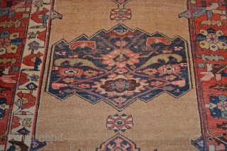 Unique Kurdish(Bijar) Rug Circa 1800 ( In good conditions) 
size 4.4 x 6.4 (134 x 195 cm)                