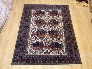 4'11'' x 6'4'' / 152cm x 194cm A Tribal diamond… An antique Persian Rug woven by Afshar people.

https://www.instagram.com/carpetusrugs/

               