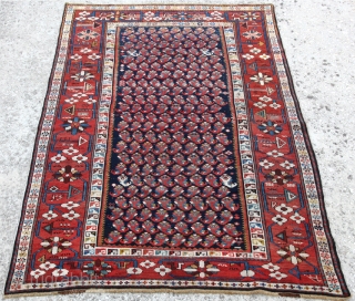 Shirvan Boteh with a splendid large border. Very fine knoted from Late 19th or Early 20Th C. It has very dry handle           