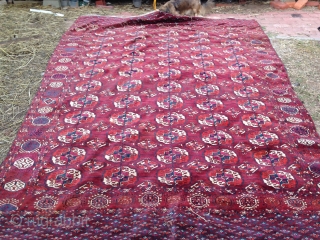 Good decorative Tekke main carpet, late 19th/early 20th Centuries. All natural colors, thick glossy, full pile wool. Several small poorly done patches (see detail).  Sides need minor attention, could use a  ...