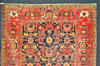 Shirvan Rug 19 th. Powerfull Colors
Size 166 x 120 cm, Herati Motiv                     