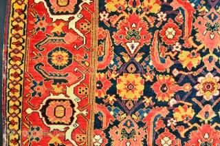 Shirvan Rug 19 th. Powerfull Colors
Size 166 x 120 cm, Herati Motiv                     