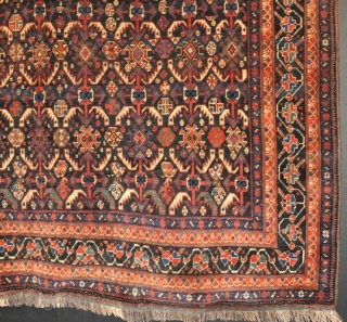 An antique Afshar rug. Good dyes, even low pile. Late 19th century.        205 x 172 cm Friendly price!        