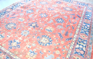 An Old 'Maples' Ushak carpet with soft dyes and allover design in good original condition., just slight wear in places and a few old moth nibbles. Now clean mothproofed and floor ready.
Circa  ...