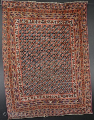 An antique Neriz (Sirjand) Afshar rug, late 19th century. Slight wear in places, very dusty, but pretty. 190 x 145 cm. Price includes shipping.         