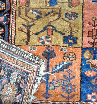 A very fine antique Bahktiari tribal rug with velvety wool and beautiful, all organic dyes. A good old example woven on wool. The piece is in as-found condition and needs a good  ...