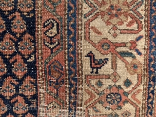 North West Persian, Kurdish, late 19th century, 4-2 x 7-2 (127 x 218), rug was hand washed, small birds, dragon border, wear, ends need little work, edges need little wrapping, small white  ...