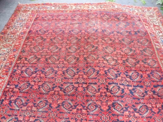 Persian Malayer Kelleh, 9-0 x 18-4 (2.74 x 5.59), early 20th century, rug was washed, no rot, no hard places, original edges, slight end loss, 2 faded areas, 2 slits, 2 stains,  ...