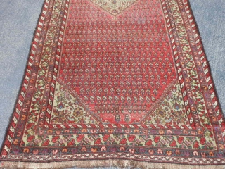 Persian Kurdish Kelleh, 5-1 x 10-6 (1.55 x 3.20), circa 1900, Boteh's, even wear, wool warp and weft, original selvage both ends, 2 corners dog eared, I washed this rug, great purple  ...