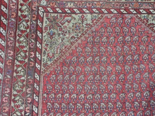 Persian Kurdish Kelleh, 5-1 x 10-6 (1.55 x 3.20), circa 1900, Boteh's, even wear, wool warp and weft, original selvage both ends, 2 corners dog eared, I washed this rug, great purple  ...