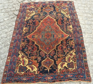 Bijar rug, late 19th century. This is a village rug with a tribal feel. Excellent border. 120 x 190 cm             