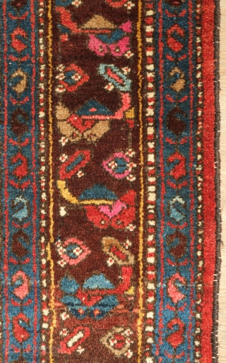 Kurdish rug, Hamadan area, 1920s to 1940s.  Great lustrous colors and very soft wool.   Attractive scrolling floral borders.  128 x 200 cm       