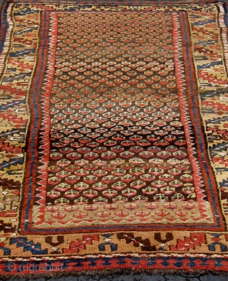 Antique Persian Kurdish rug (Western mountains), first quarter of the twentieth century, all natural dyes, roughly 4' by 7'.  Meaty, beautiful wool, interesting abrash, very tribal feel,  selvedges recast, some  ...