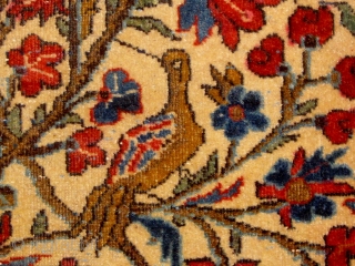 Circa 1910 small Kashan pictorial tree of life carpet or poshti, featuring deer and birds, in overall good condition, beautiful silky wool, and very tight weave.  Over two feet by 4  ...