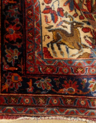 Circa 1910 small Kashan pictorial tree of life carpet or poshti, featuring deer and birds, in overall good condition, beautiful silky wool, and very tight weave.  Over two feet by 4  ...