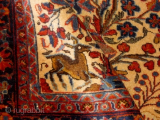Circa 1910 small Kashan pictorial tree of life carpet or poshti, featuring deer and birds, in overall good condition, beautiful silky wool, and very tight weave.  Over two feet by 4  ...