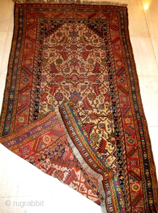 Fine antique fine quality pure wool Qashqaee rug

Size:187x95cm

P.O.R                         