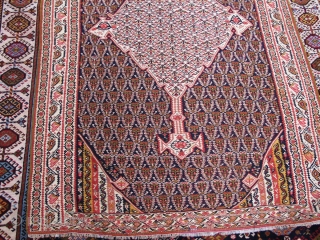 Fine quality antique pure wool Seneh kilim


210x123cm

P.O.R

                          