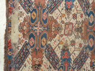 Seichur Rug. Size 60 x 96 Cm                          