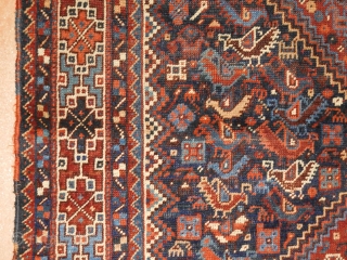 Khamseh Bird rug 
4.1x4.10
all wool and natural dyes 
late 19th 
                      