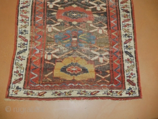 3.6x8 early kurdish rug 
it appears that it has a rewoven ends and sides                   