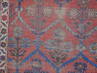 kurd rug 19th century 
all wool and natural dyes .
as imaged 
no repairs                    