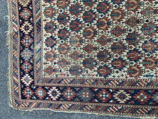 c.1880 Antique Shirvan rug…..approx 3’ x 4’…..has interesting ewers in field….
Checks drawn on U.S. banks preferred…..
Thanks again to RR…..from beautiful Cape Porpoise, Ed Briggs         
