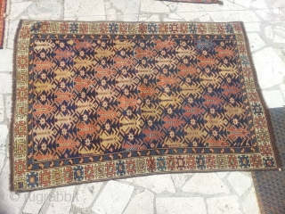 Shirvan fragment. wool on wool. low pile but very nice piece.
cm 150x100 1890 ca.


if you have some smartphone application you can get in touch with me also with
VIBER; KAKAOTALK; WHAT?S UP. so  ...