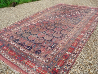 Lovely old, South Persian Afshar carpet. Afshar carpets of any size are unusual ... and this antique piece is 16'.8" x 9'.4" Condition, uneven wear but still has original kilim ends and  ...