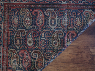 Boteh Kirman ( Afshar ? ) . 174/188  CM. X 388 CM. ( Kelleh ? ) Wool on cotton.  Cleaned and washed . Old/antique.       