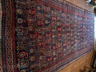 Boteh Kirman ( Afshar ? ) . 174/188  CM. X 388 CM. ( Kelleh ? ) Wool on cotton.  Cleaned and washed . Old/antique.       