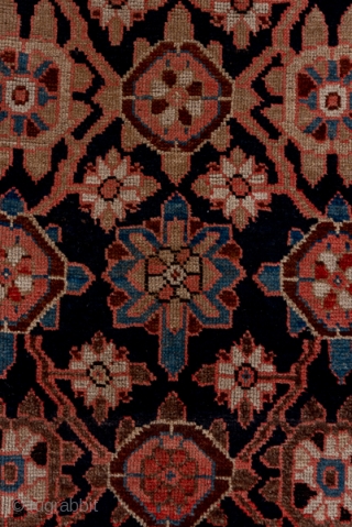 Kurd Runner

3.2 x 11.3
0.97 x 3.44

A chunky Mina Khani design of rosettes and smaller flowers closely covers the navy field of this all wool tribal runner. The ochre minor borders with their  ...